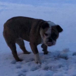 Meet your Posher, Jada